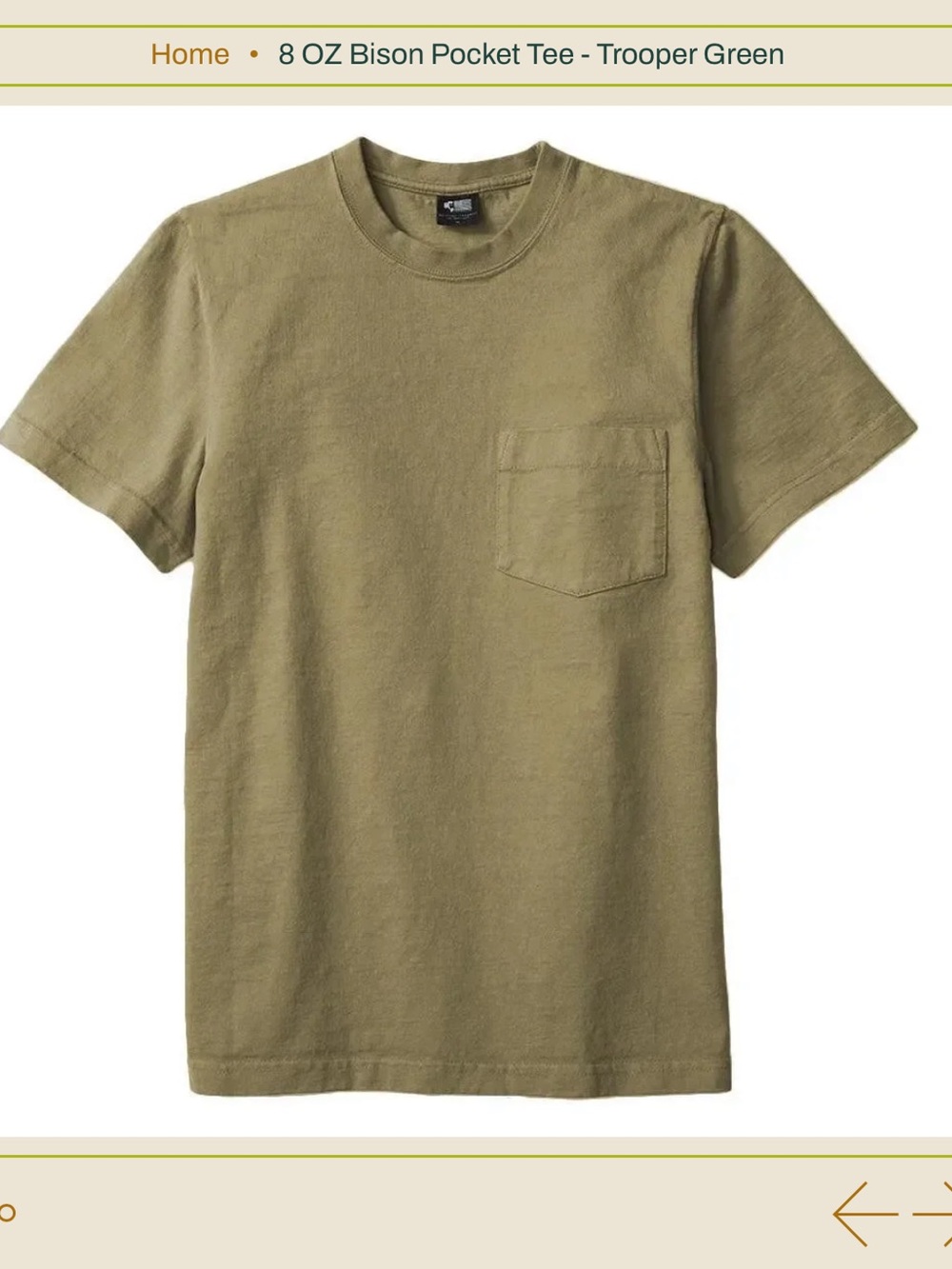 Welcome Stranger 8 oz Bison Pocket Tee in Trooper Green